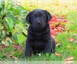 Small #2 Breeder Profile image
