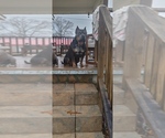 Small #3 Breeder Profile image