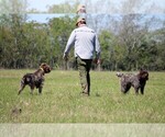Small #3 Breeder Profile image