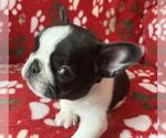 Small #14 Breeder Profile image