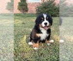 Small #1 Breeder Profile image