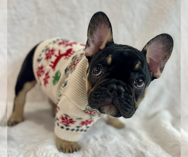 Medium Photo #12  Breeder Profile in KALISPELL, MT, USA