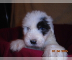 Small #4 Breeder Profile image