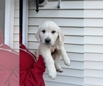 Small #6 Breeder Profile image