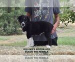 Small #15 Breeder Profile image