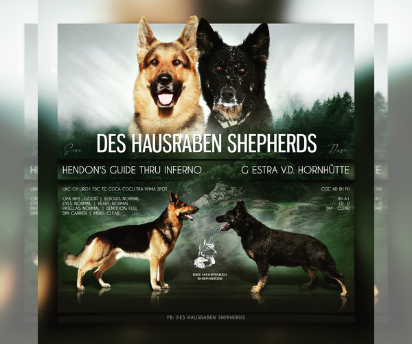 Medium Photo #1  Breeder Profile in NEW CAMBRIA, MO, USA