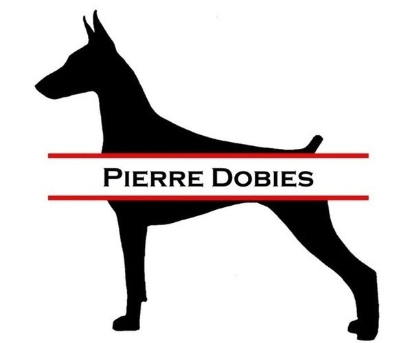 Medium Photo #1  Breeder Profile in LAKELAND, FL, USA