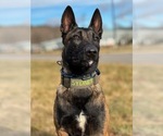 Small #11 Breeder Profile image