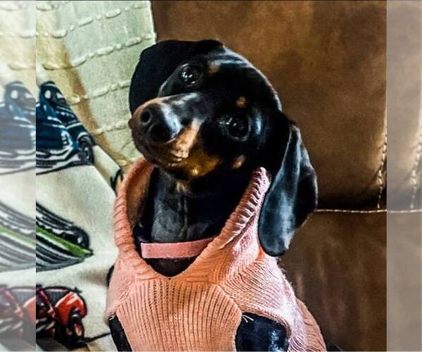 Medium Photo #1  Breeder Profile in BEMIDJI, MN, USA