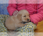 Small #9 Breeder Profile image