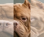 Small #13 Breeder Profile image