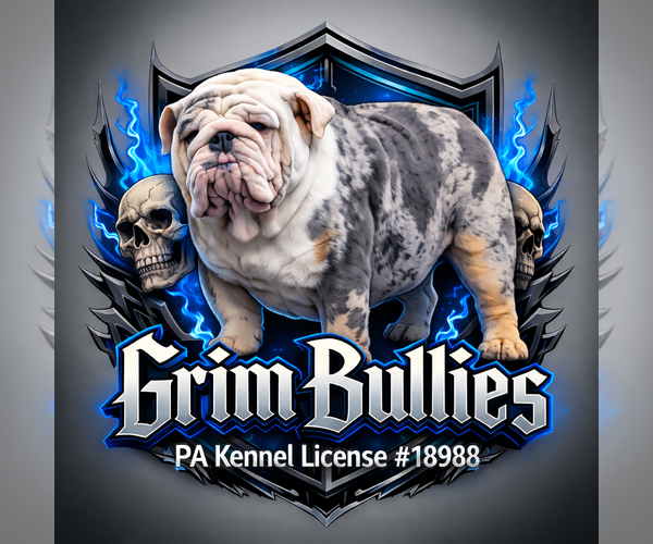 Medium Photo #1  Breeder Profile in CLYMER, PA, USA