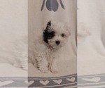 Small #3 Breeder Profile image