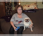 Small #5 Breeder Profile image