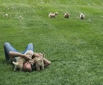Small #2 Breeder Profile image