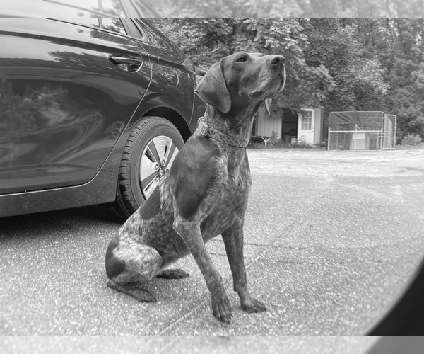 Medium Photo #2  Breeder Profile in BOONVILLE, IN, USA