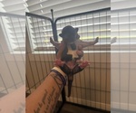 Small #41 Breeder Profile image
