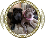 Small breeder photo
