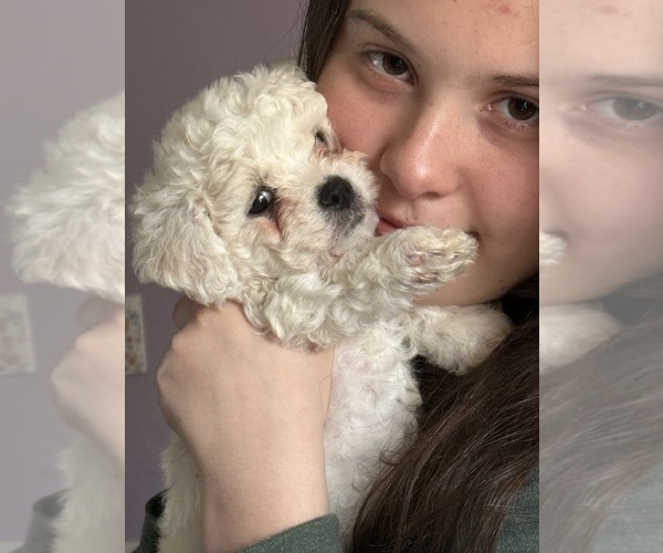 Medium Photo #24  Breeder Profile in PICKFORD, MI, USA