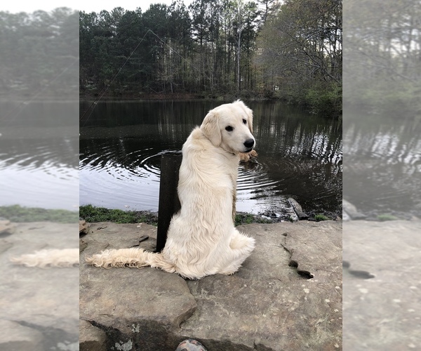Medium Photo #1  Breeder Profile in HALEYVILLE, AL, USA