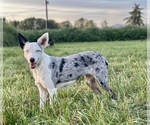 Small #14 Breeder Profile image