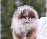 Small #11 Breeder Profile image