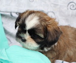 Small #45 Breeder Profile image