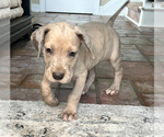 Small #11 Breeder Profile image