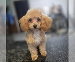 Small #2 Breeder Profile image