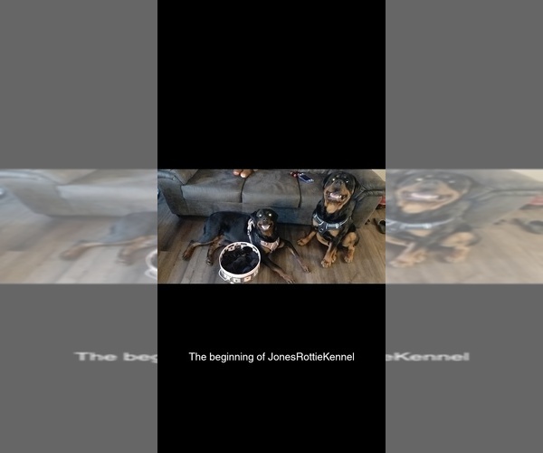 Medium Photo #1  Breeder Profile in BURNSVILLE, MN, USA