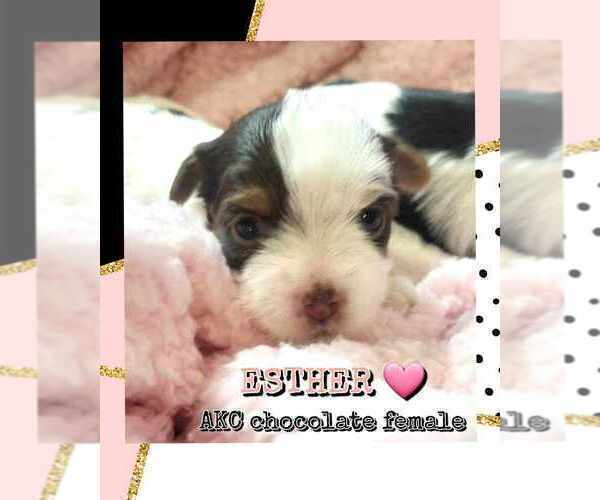 Medium Photo #9  Breeder Profile in FT WORTH, TX, USA