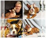 Small #4 Breeder Profile image