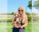 Small #8 Breeder Profile image