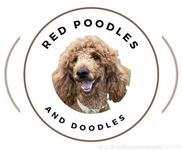 Medium Photo #1  Breeder Profile in SPRINGDALE, AR, USA
