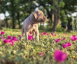Small #19 Breeder Profile image