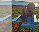 Small #19 Breeder Profile image