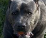 Small #25 Breeder Profile image