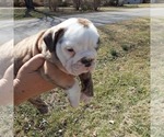 Small Photo #2  Breeder Profile in GREEN FOREST, AR, USA