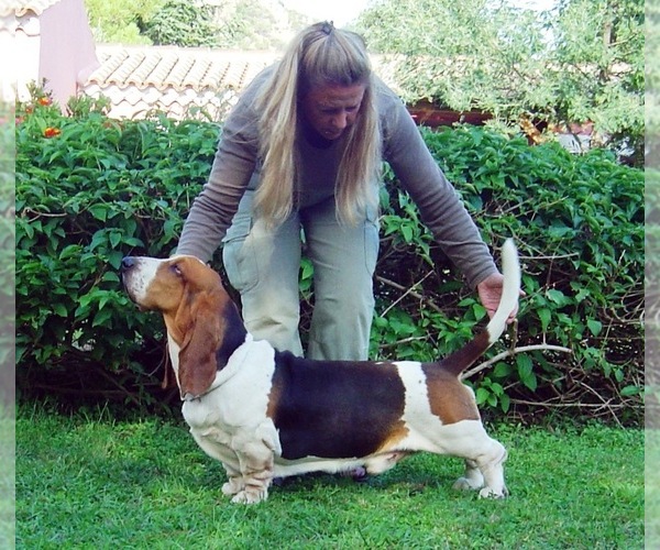 Medium Photo #1  Breeder Profile in Loiri Porto San Paolo, Sardinia, Italy
