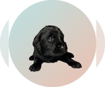 Small #3 Breeder Profile image