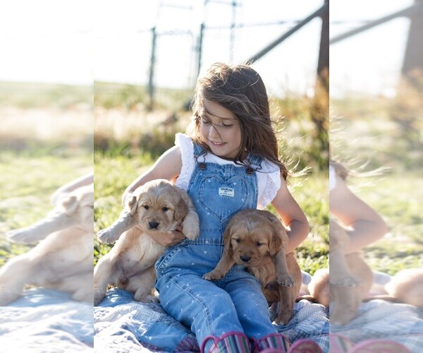 Medium Photo #4  Breeder Profile in BYERS, CO, USA