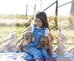 Small #3 Breeder Profile image