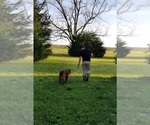 Small #7 Breeder Profile image
