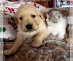 Small #2 Breeder Profile image