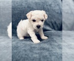 Small #6 Breeder Profile image