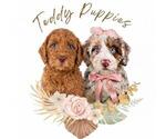 Small breeder photo