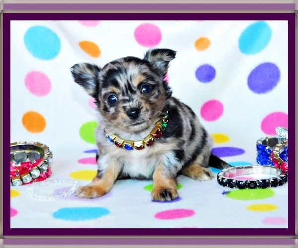 Medium Photo #5  Breeder Profile in CHARLESTON, AR, USA