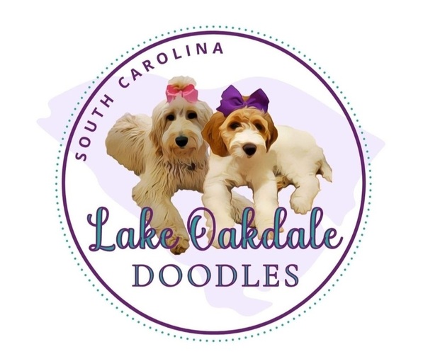 Medium Photo #1  Breeder Profile in FLORENCE, SC, USA