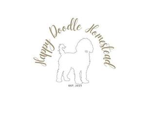 Bernedoodle Dog Breeder near OLIN, NC, USA
