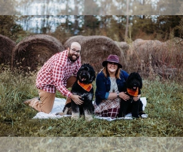 Medium Photo #1  Breeder Profile in RUSHVILLE, IN, USA